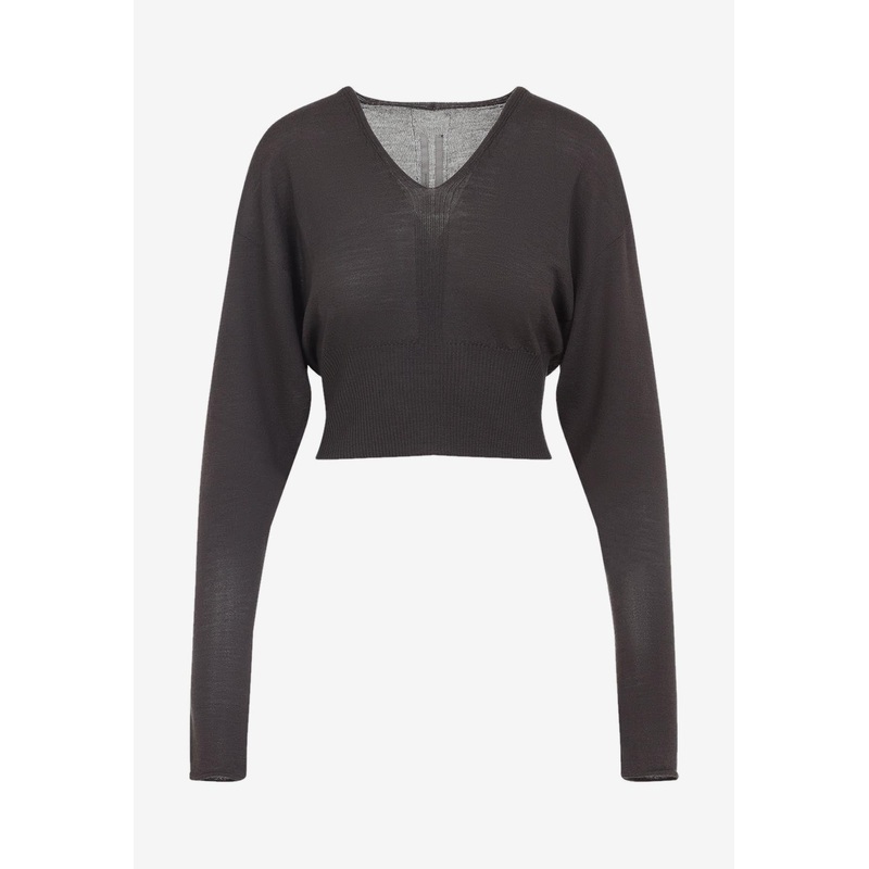 V Cropped Wool Sweater Brown wrtwstd_XS