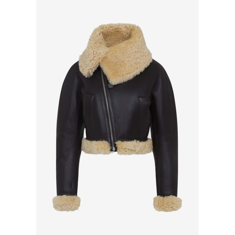 Aviatore Shearling Leather Jacket Brown wrtwfr_FR 34