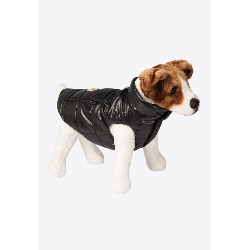 X Polda Padded Dog Vest Black Onesize