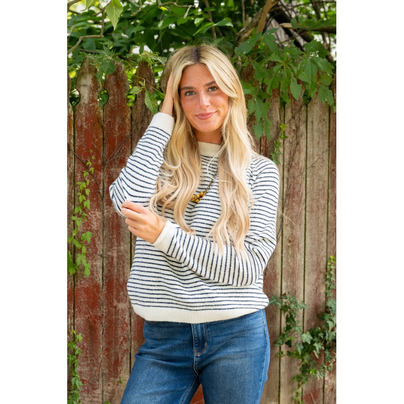 Zig Zag Striped Solid Trim Sweater Blue S