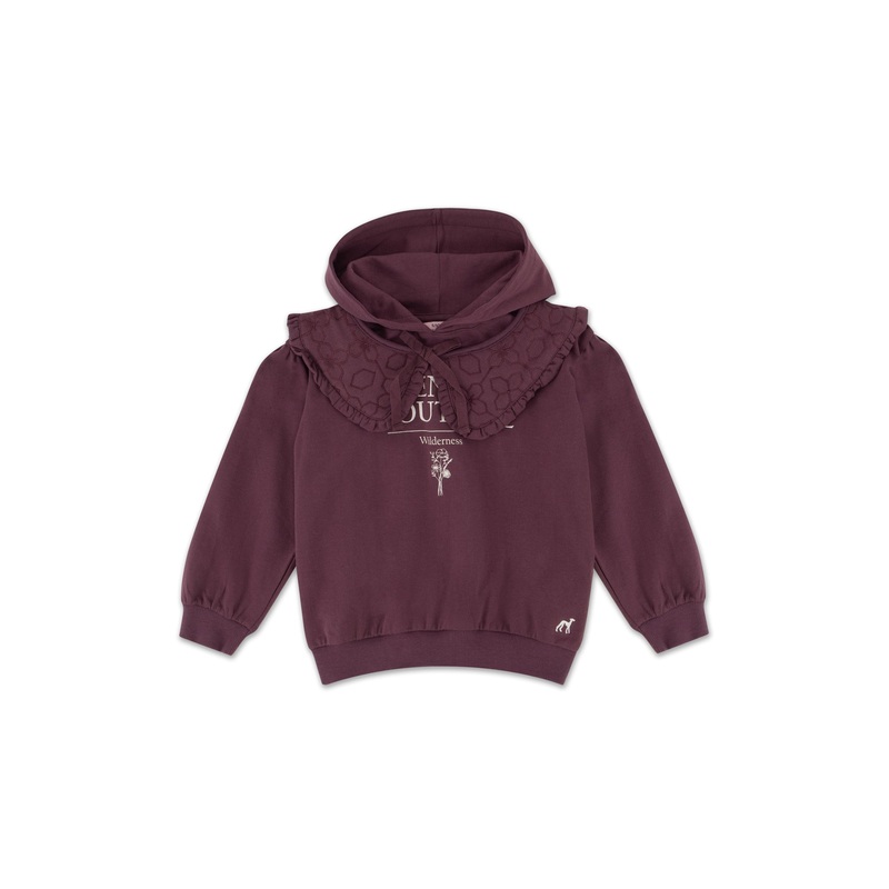 Adventure Print Sweatshirt Plum 2Y